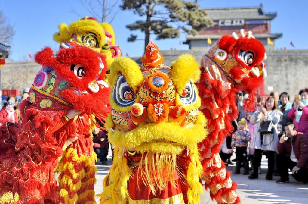Four to five lion dancers performing energetically, showcasing traditional lion dance moves during a festive celebration.