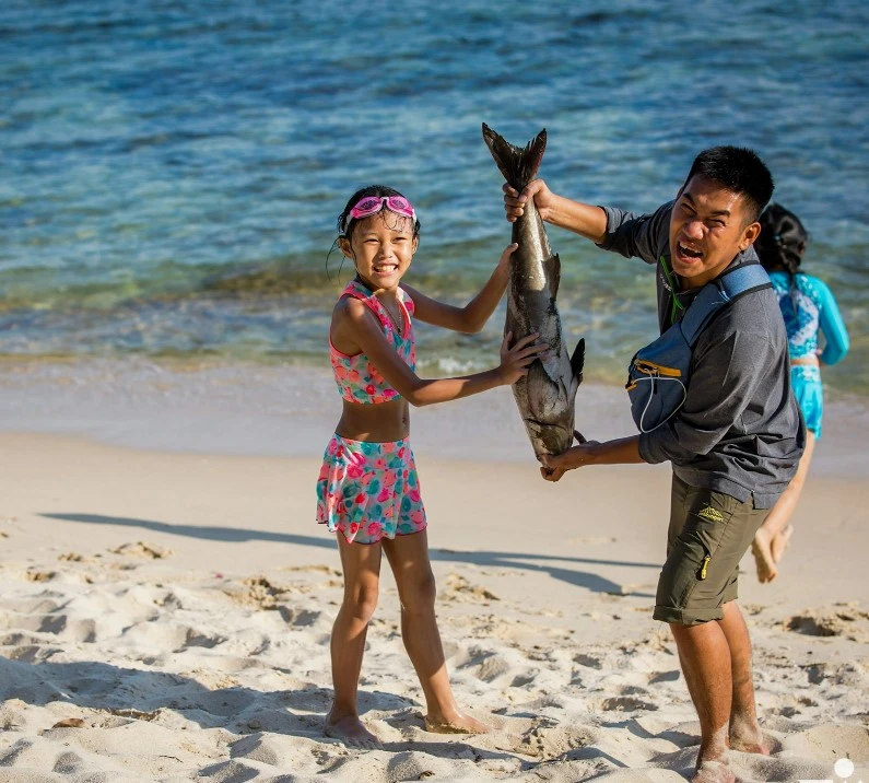 On Son Cha Island, visitors can witness the vibrant local culture as fishermen engage in traditional seafood harvesting and cooking. The picturesque scenes feature locals expertly casting nets and collecting fresh catches from the crystal-clear waters. Once harvested, the seafood is often prepared on-site, showcasing age-old recipes that highlight the region's culinary heritage. This lively atmosphere not only offers a glimpse into the daily lives of the island's residents but also provides a unique opportunity to savor freshly cooked seafood dishes, making it a delightful experience for food enthusiasts and nature lovers alike.