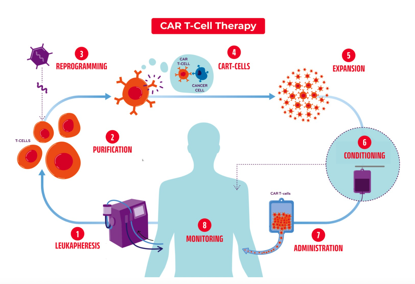 CAR T cell therapy in Vietnam