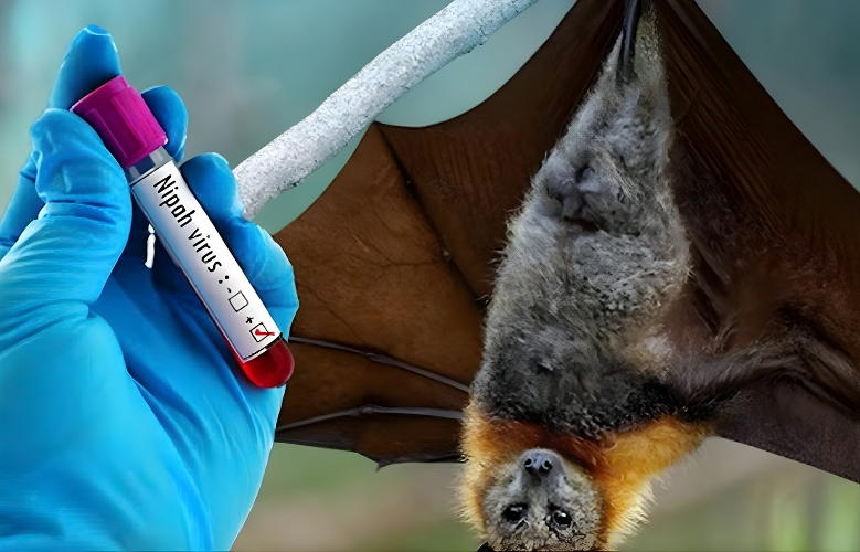 Key Vietnam News This Week 1