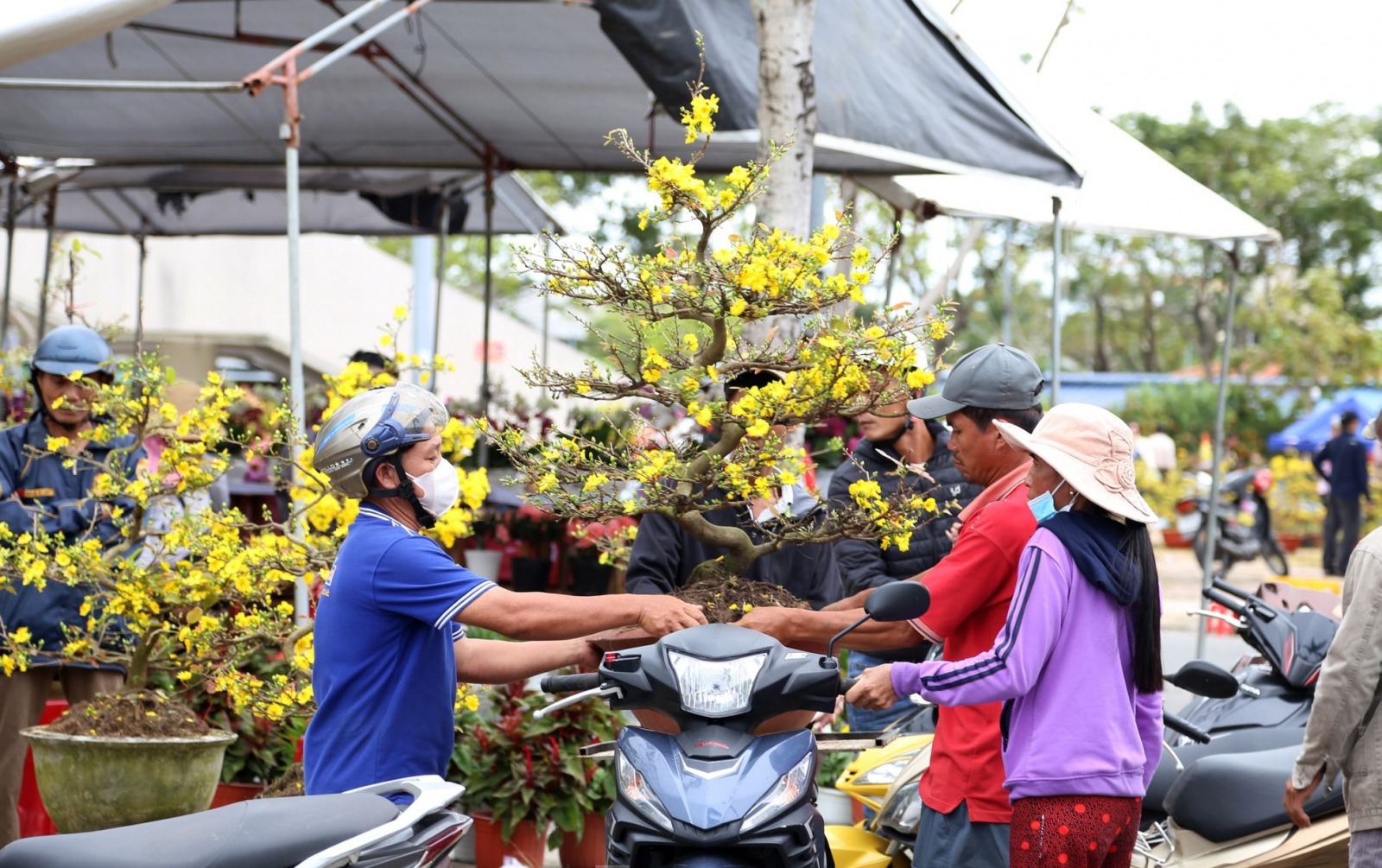 lunar new year in da nang