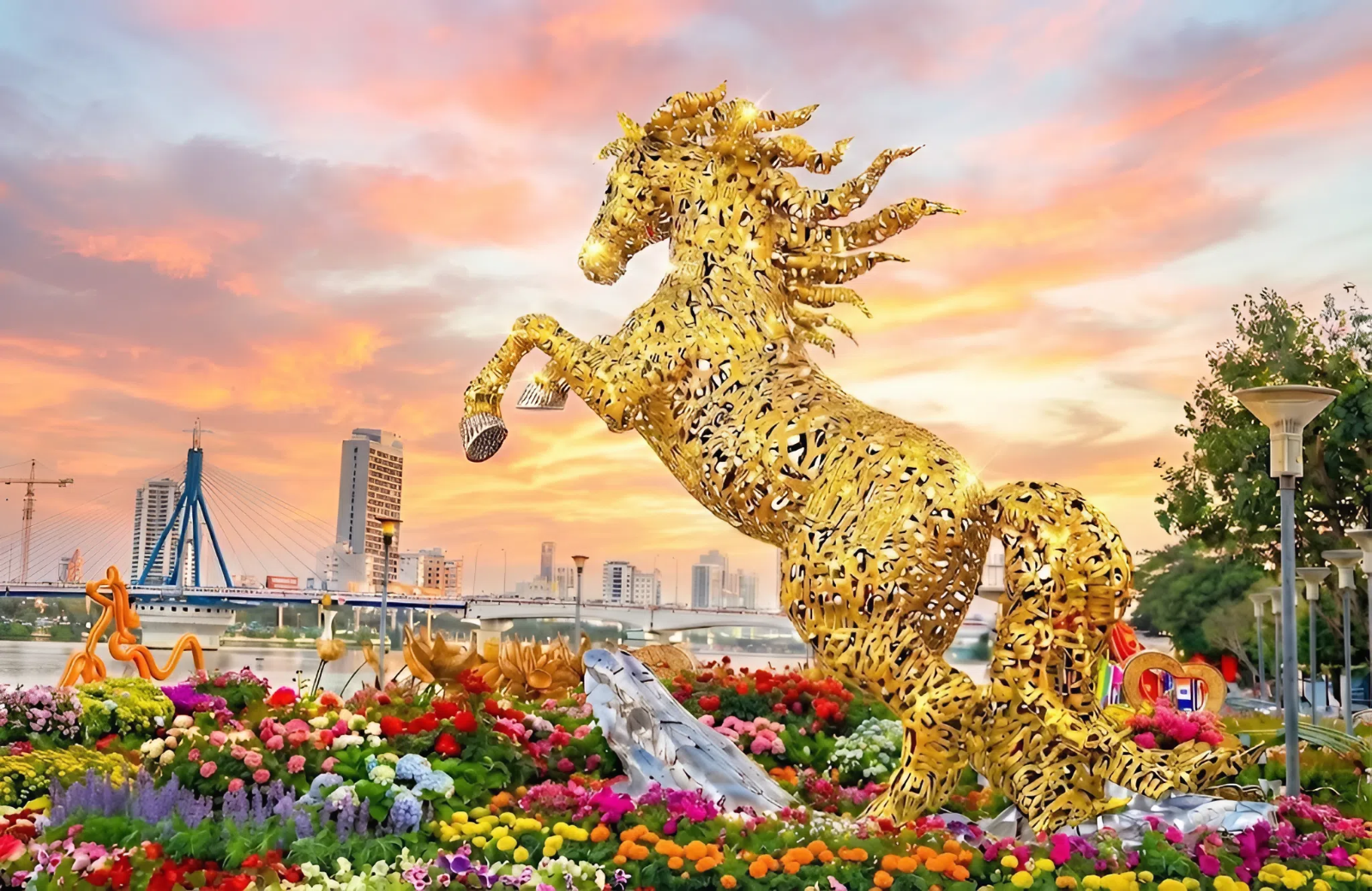 quy nhon horse