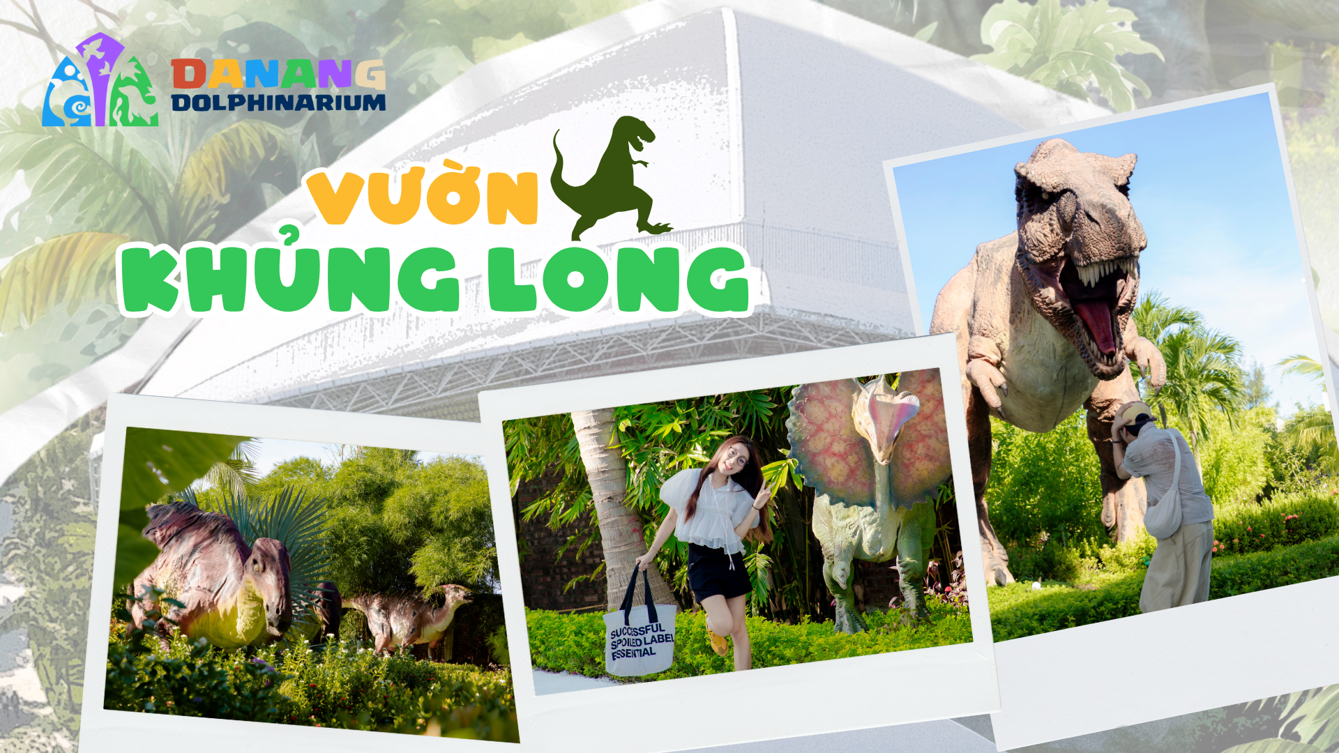 Bản sao dolphinarium da nang ticket price 2