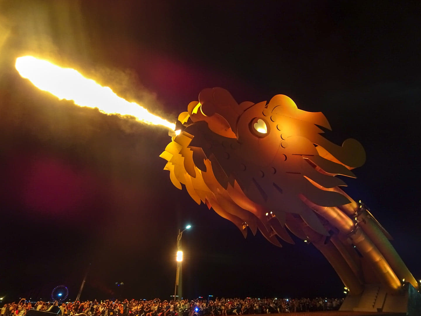 The Dragon Show (2)