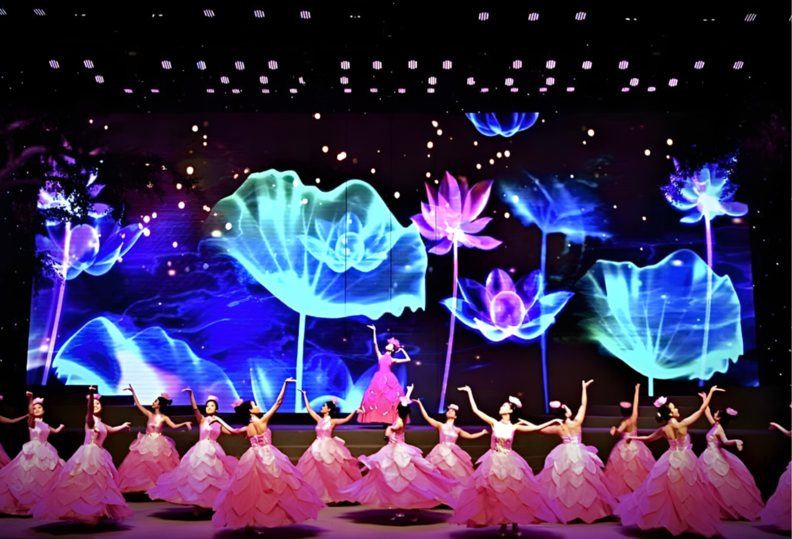 đà nẵng show 2026