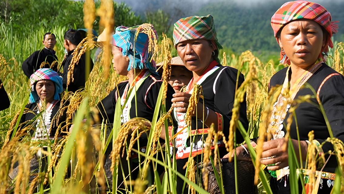kho mu condition