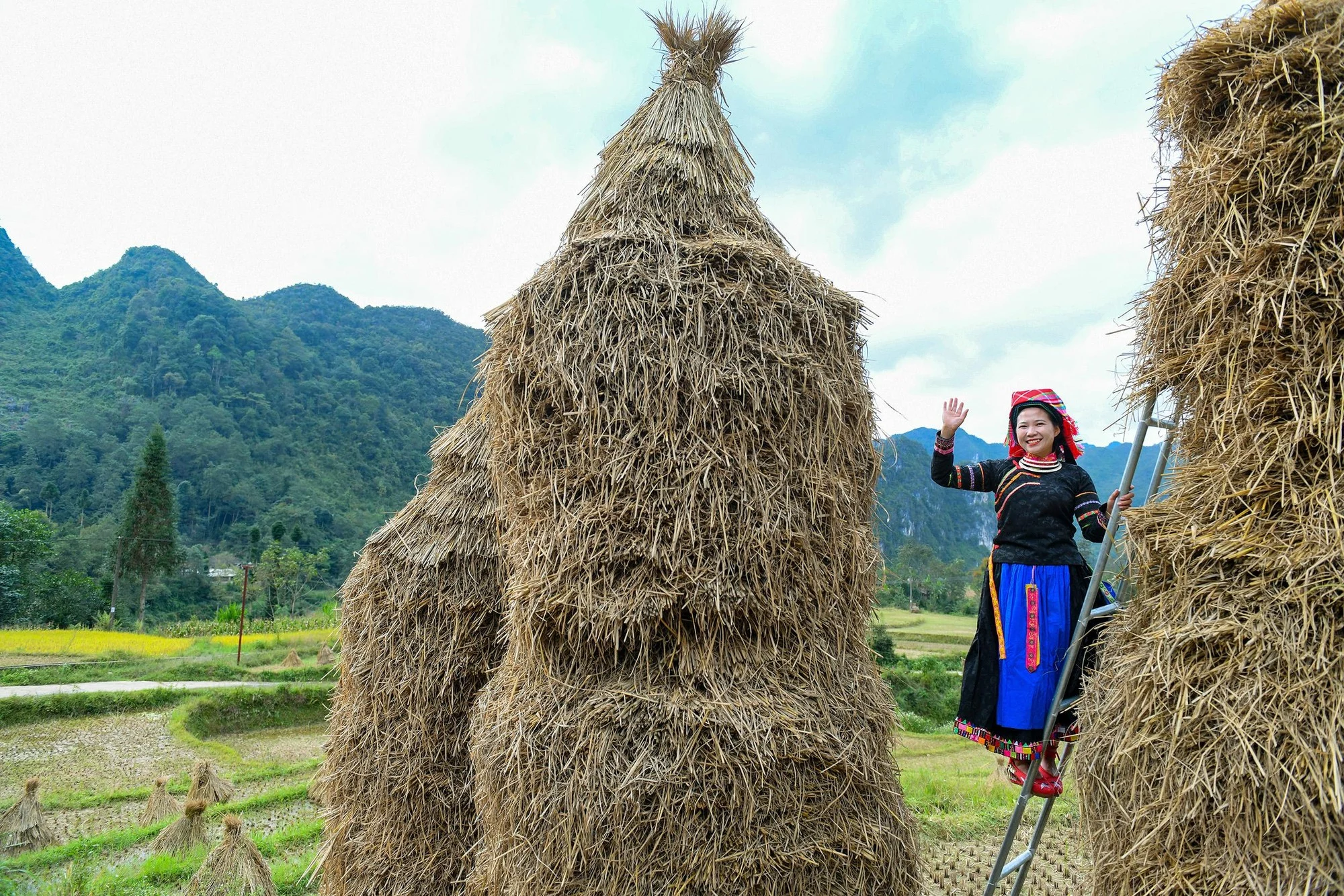 pu peo economic