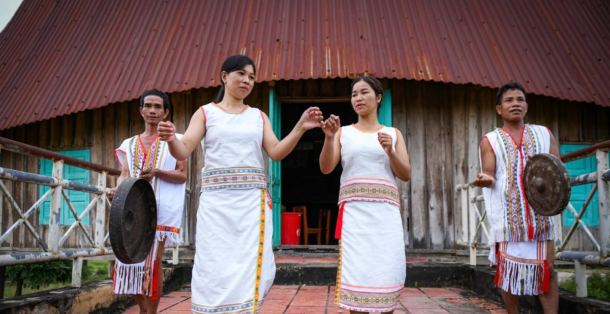 ro mam vietnam